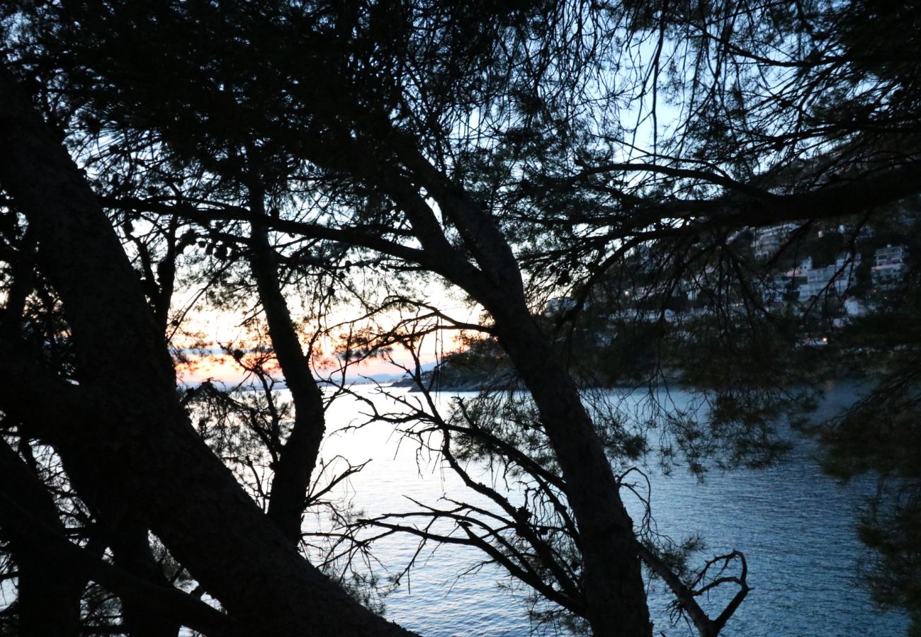 Apartamento en Rosas / Roses - RIERA GINJOLERS Rosas / Roses – INTERimmo