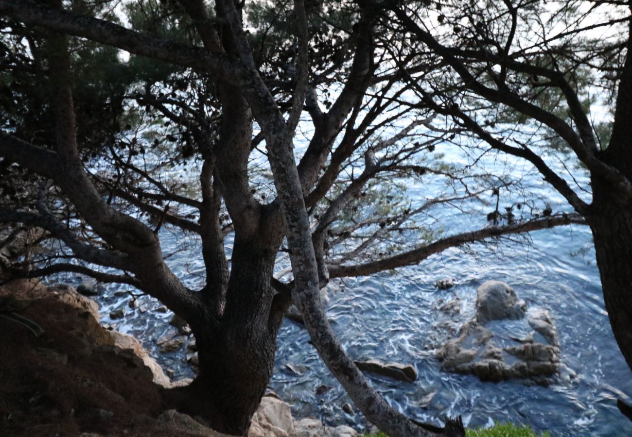 Apartament en Rosas / Roses - ROCMAR Rosas / Roses – INTERimmo