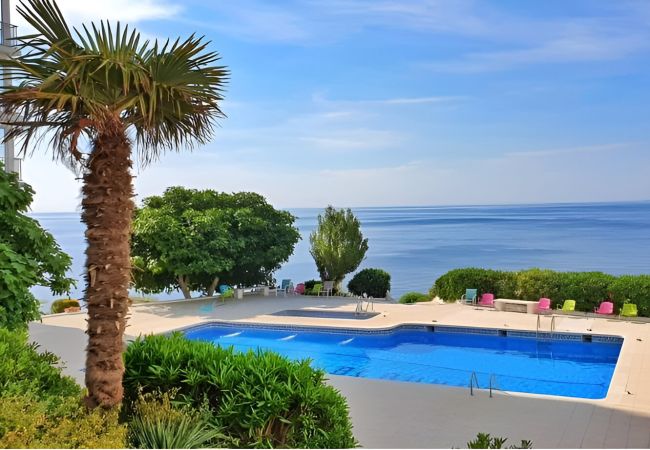 Apartment in Rosas / Roses - Delfin - Piso magnifica vista al mar y Piscina com