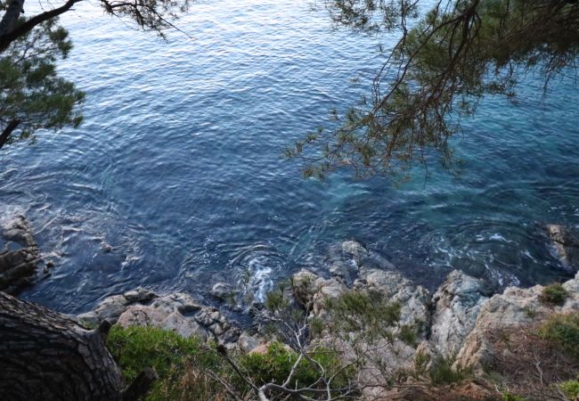 Apartment in Rosas / Roses - Mataro 206-Magnifico piso vista al mar