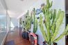Apartment in Rosas / Roses - Canyelles 45 - Magnifico Loft, vista al mar